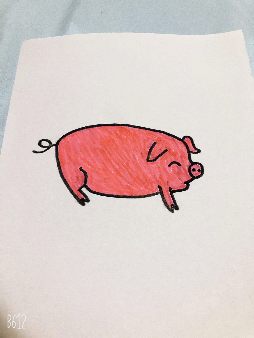 猪肚子简笔画图片