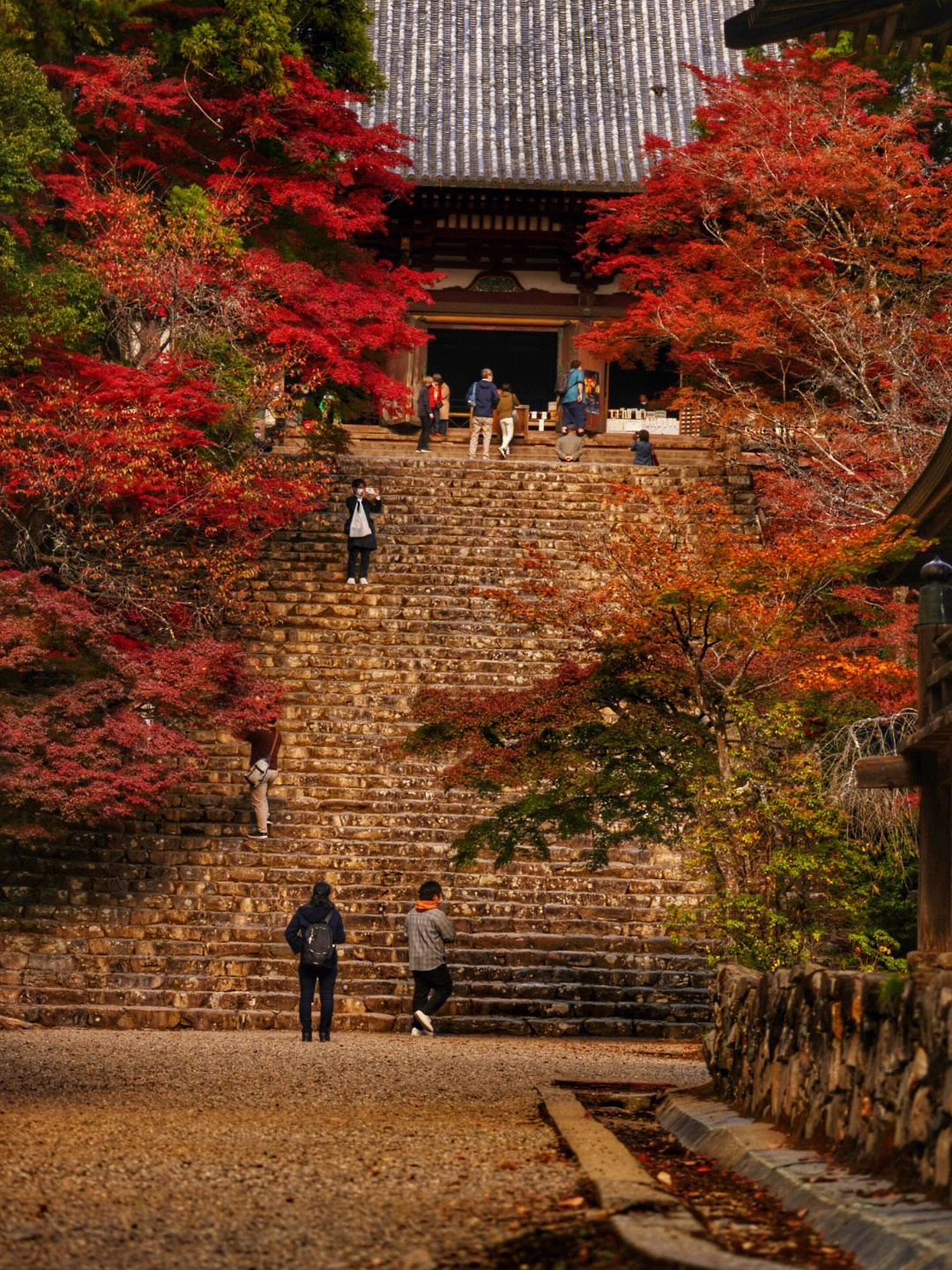 京都美景神护寺京都市右京区