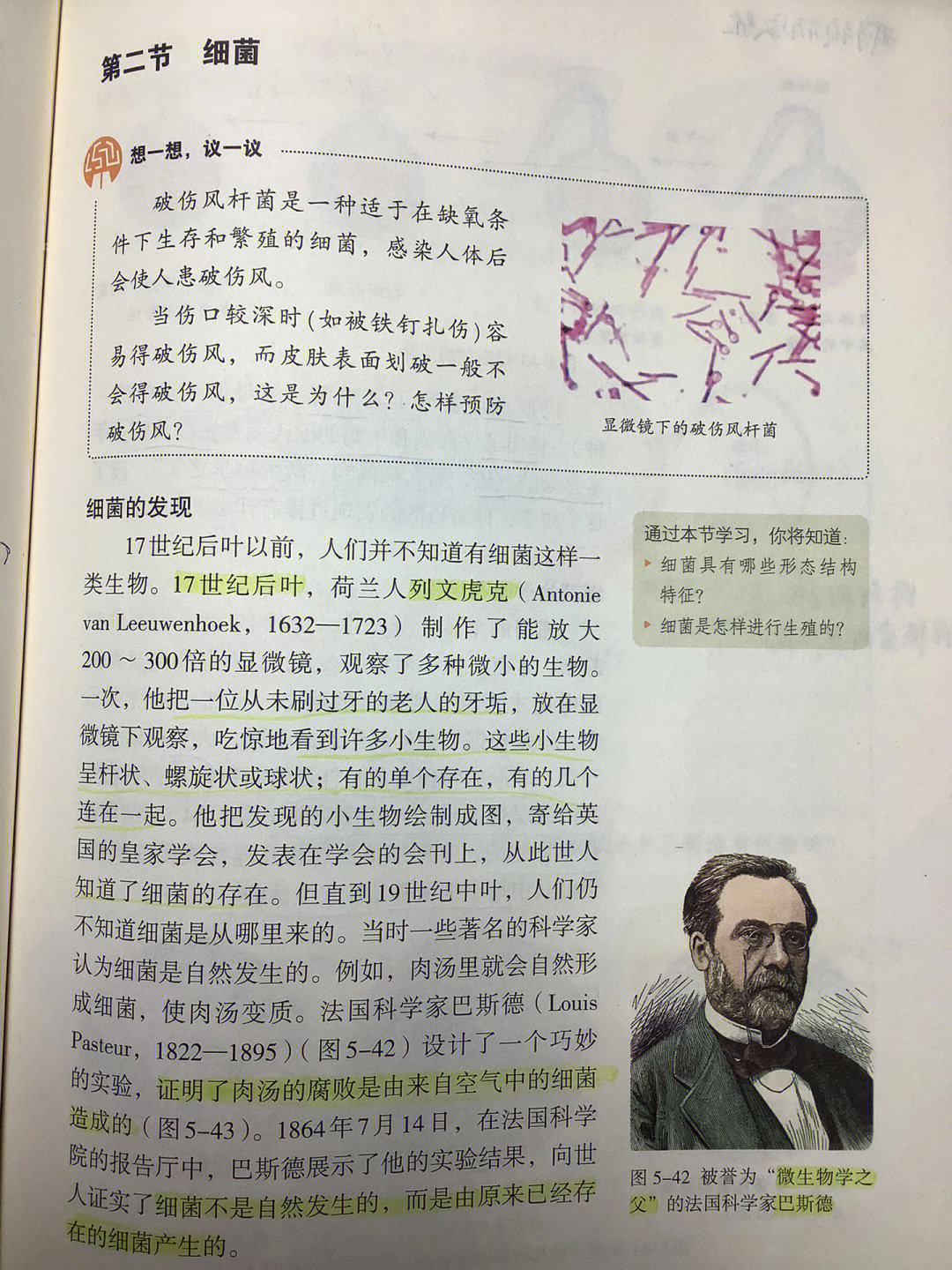 列文虎克发现细菌图片