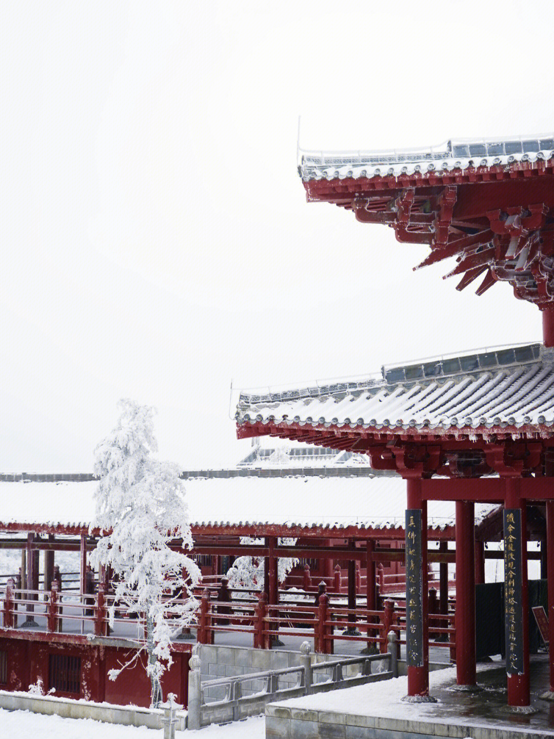 余杭金佛寺图片