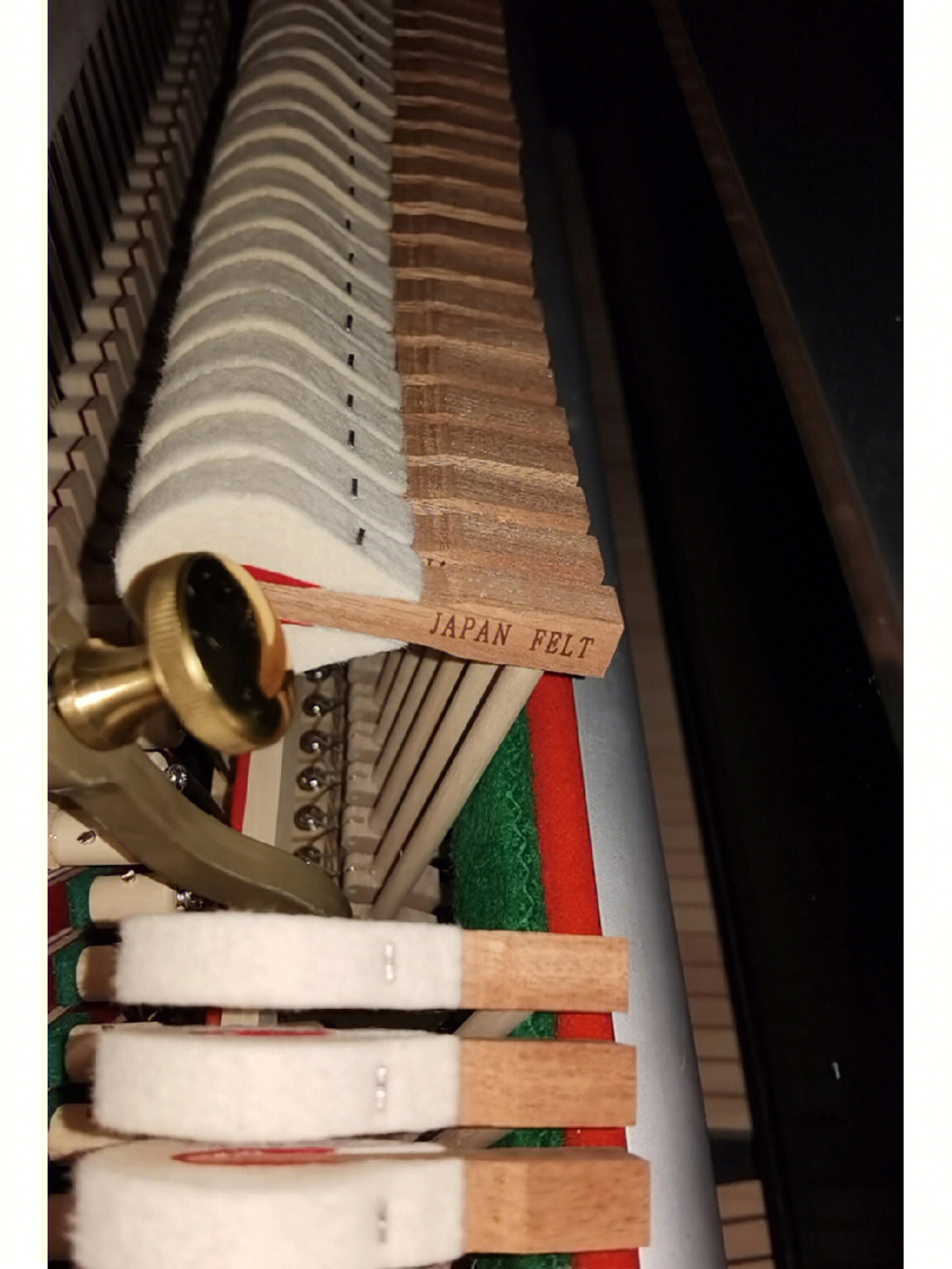 羽管键琴内部图片