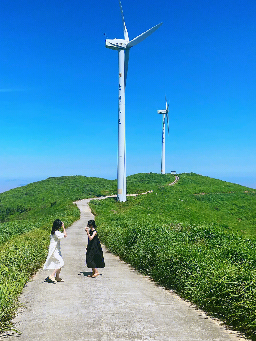 平阳西湾围垦三期图片