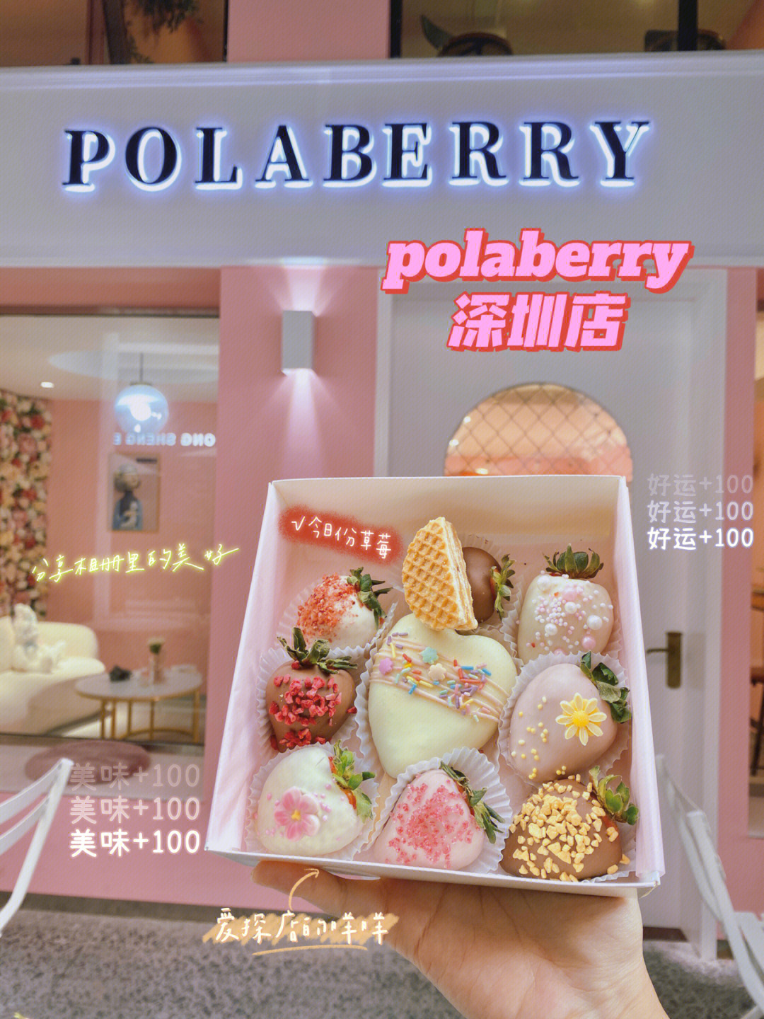 polaberry成都图片