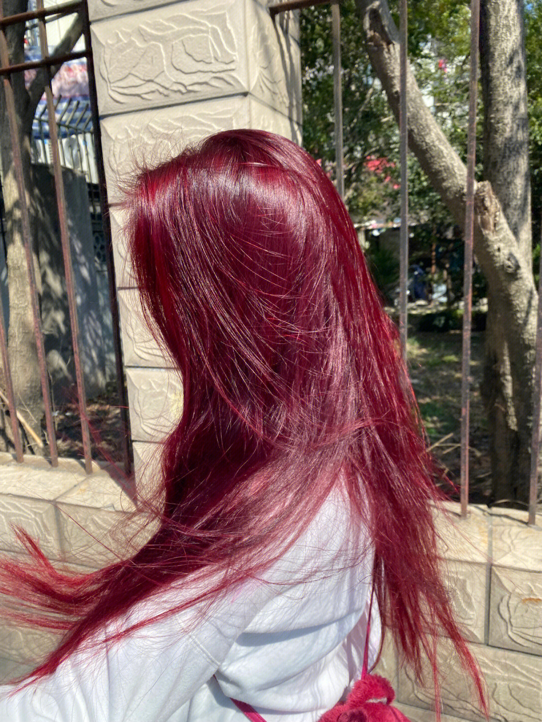 树莓红染发红发