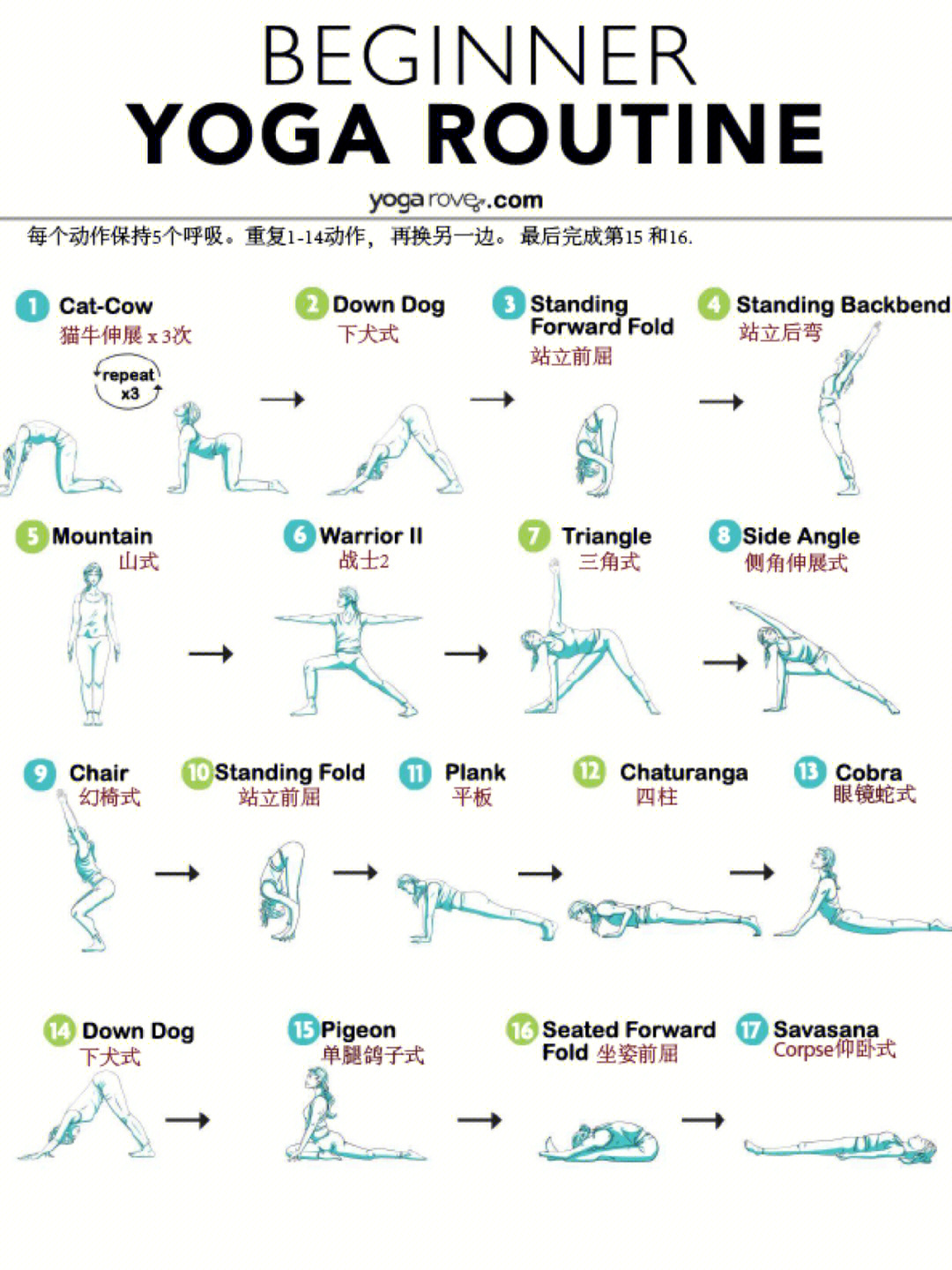 在家自学瑜伽初学教程图片