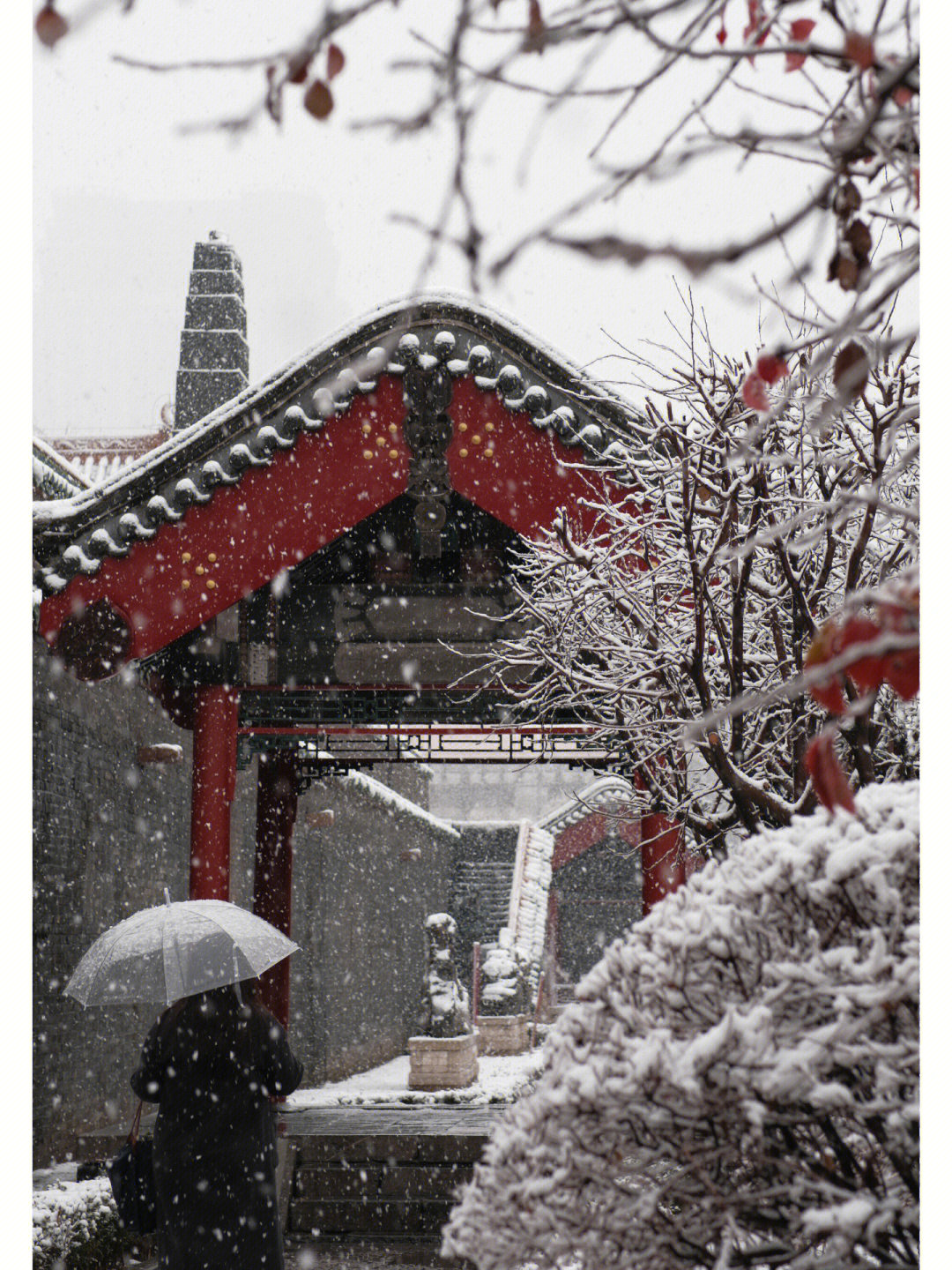 来看沈阳故宫的第一场雪