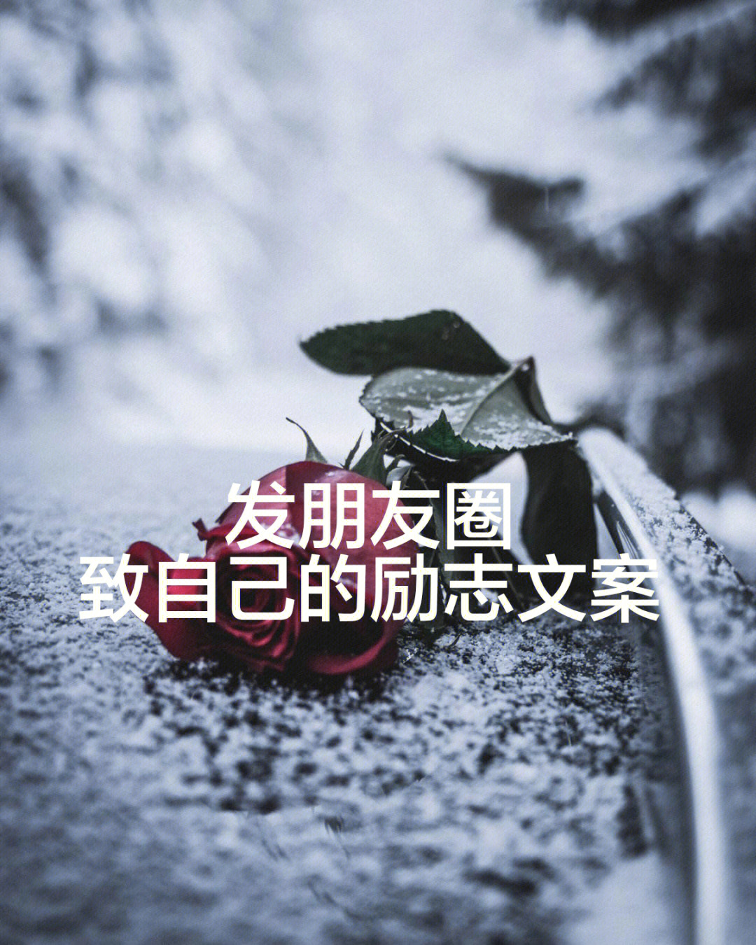 朋友圈图片评论捷径图片