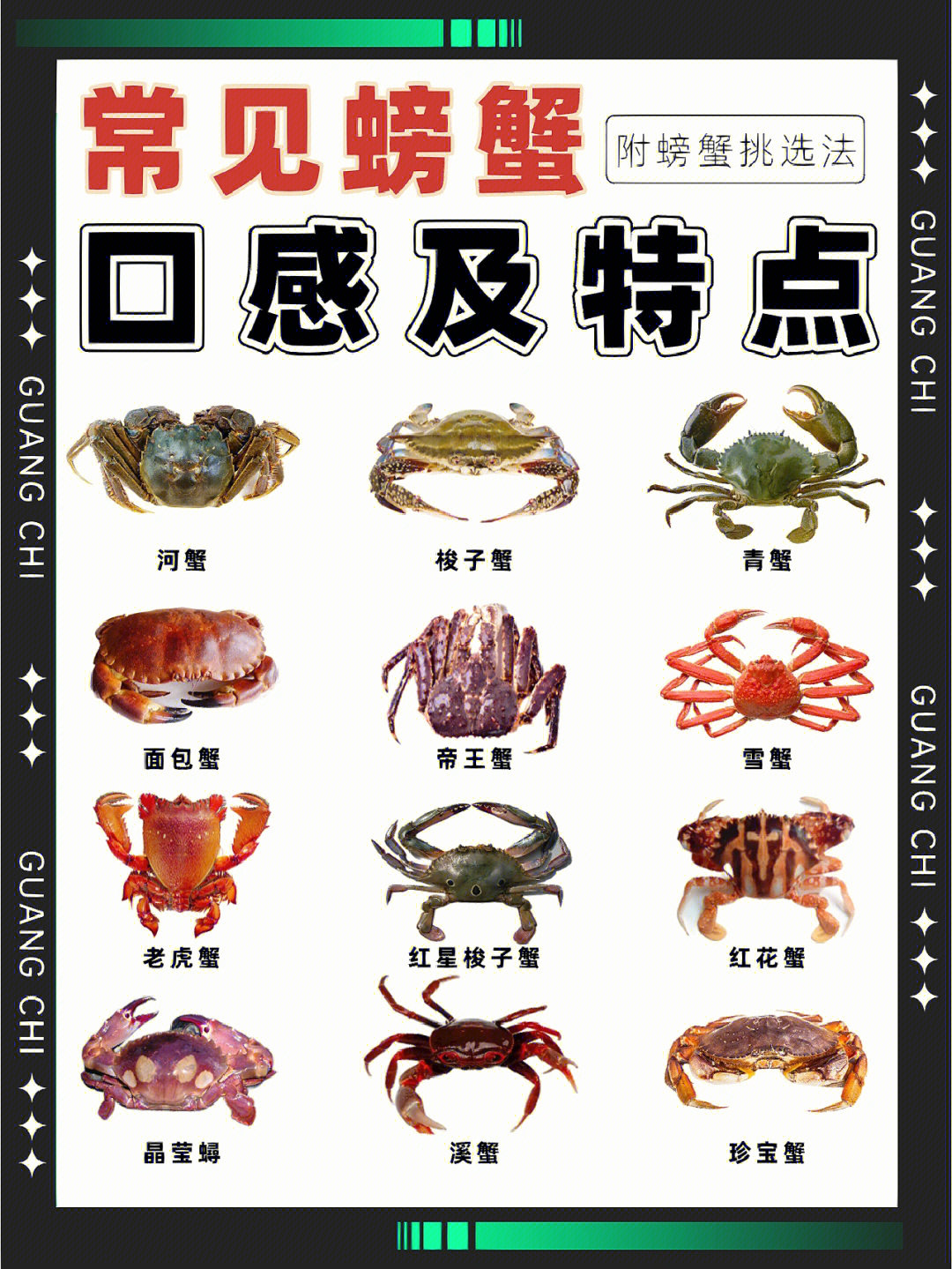 螃蟹品种大全名字图片