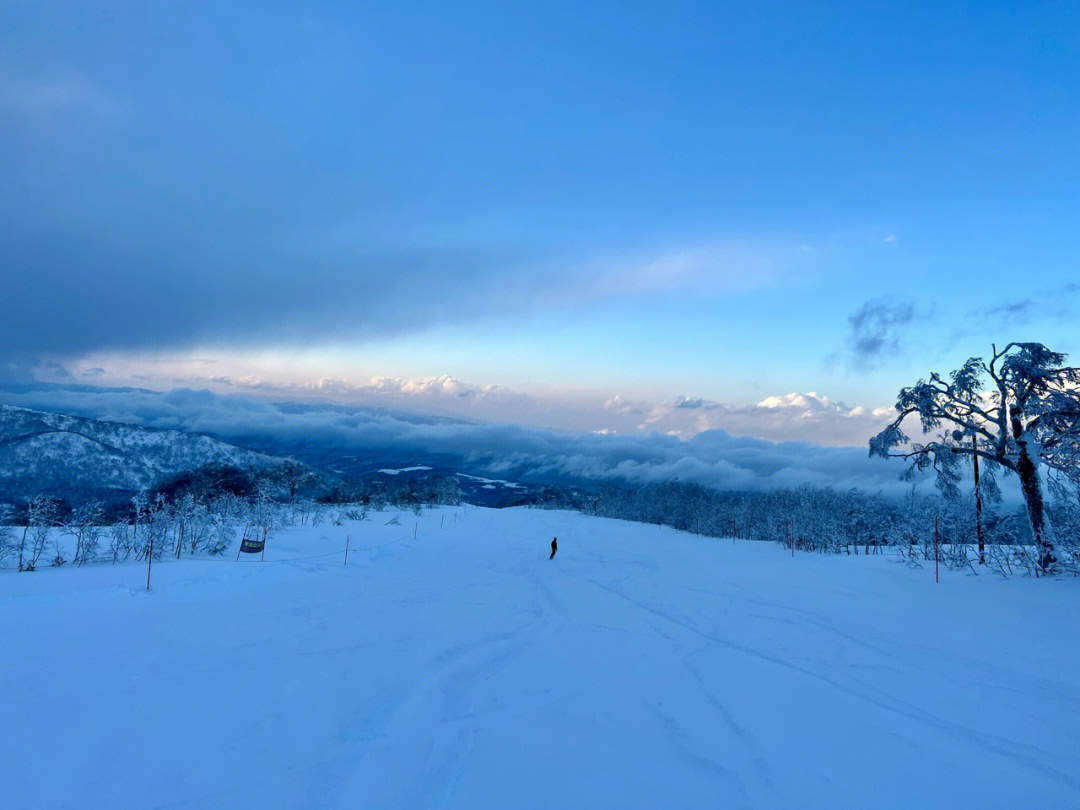 kiroro滑雪场图片