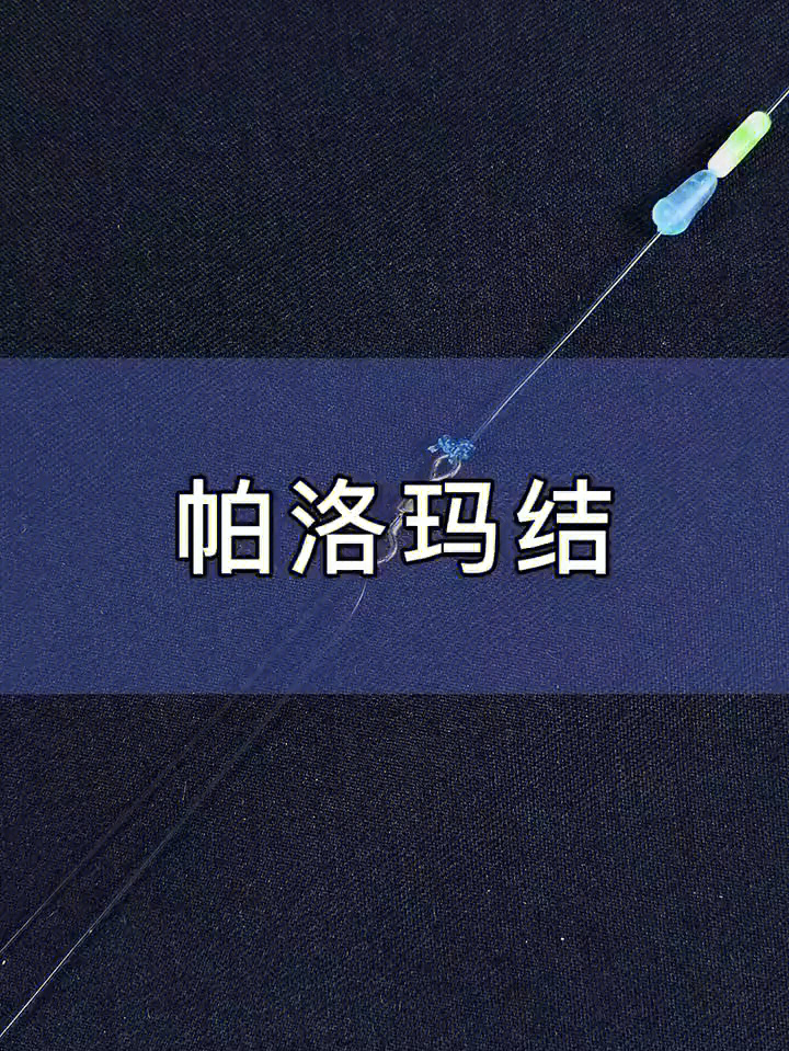 八字环冠军结图片