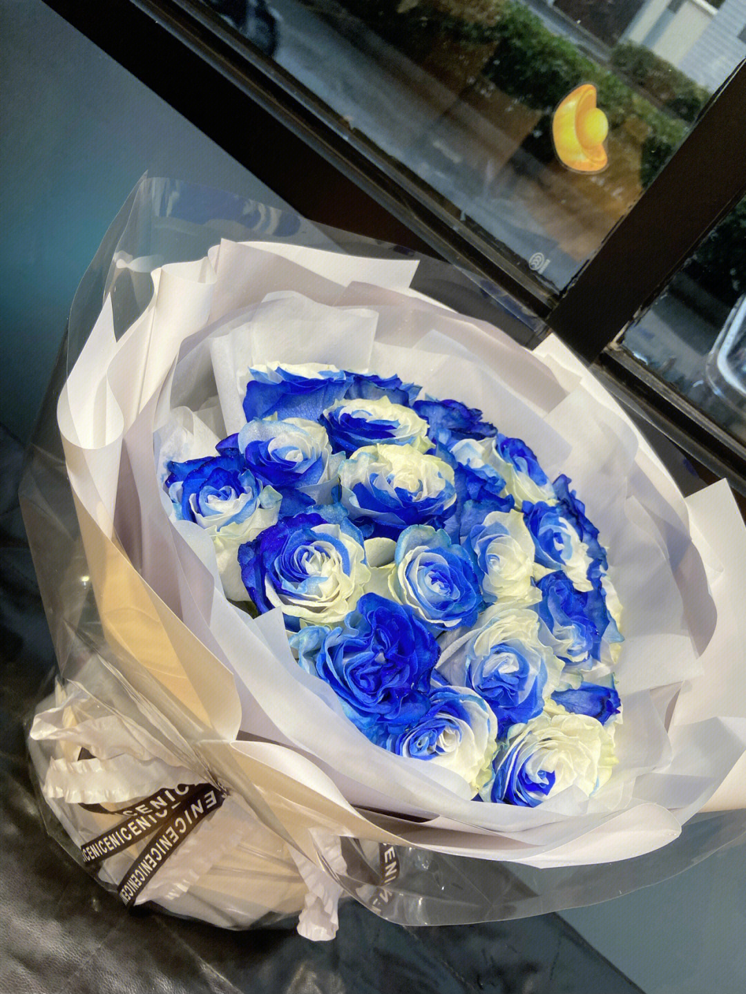 厄瓜多尔蓝白玫瑰花语图片