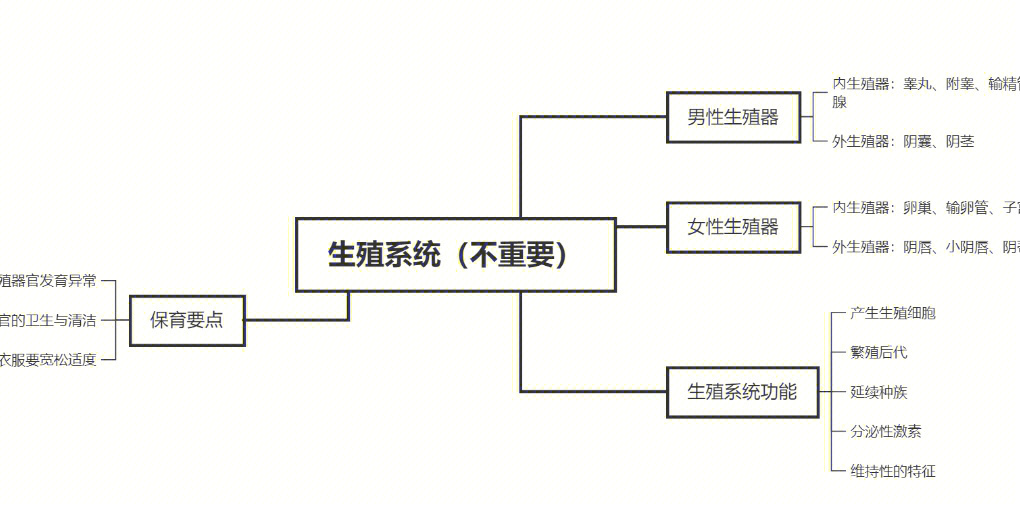 幼儿健康思维导图图片