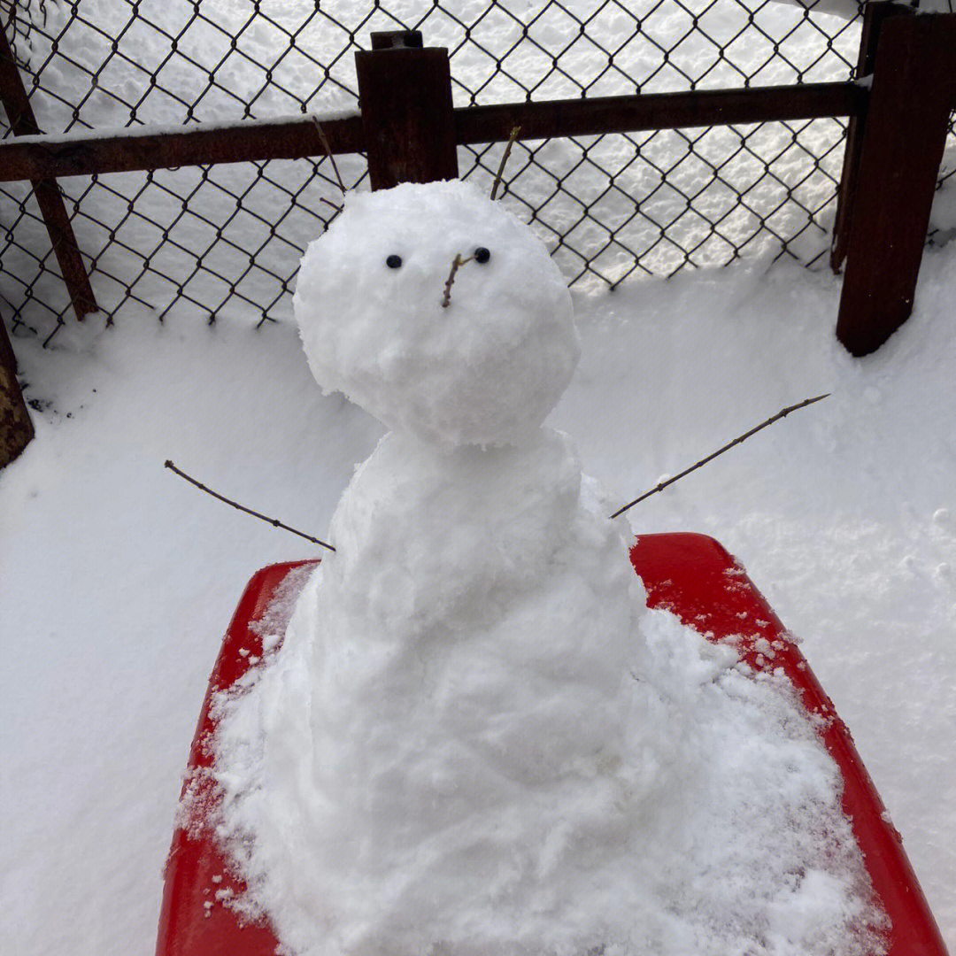 雪人7815今天竟然在dy上刷到了～ 太巧了当时我用果实做的眼睛