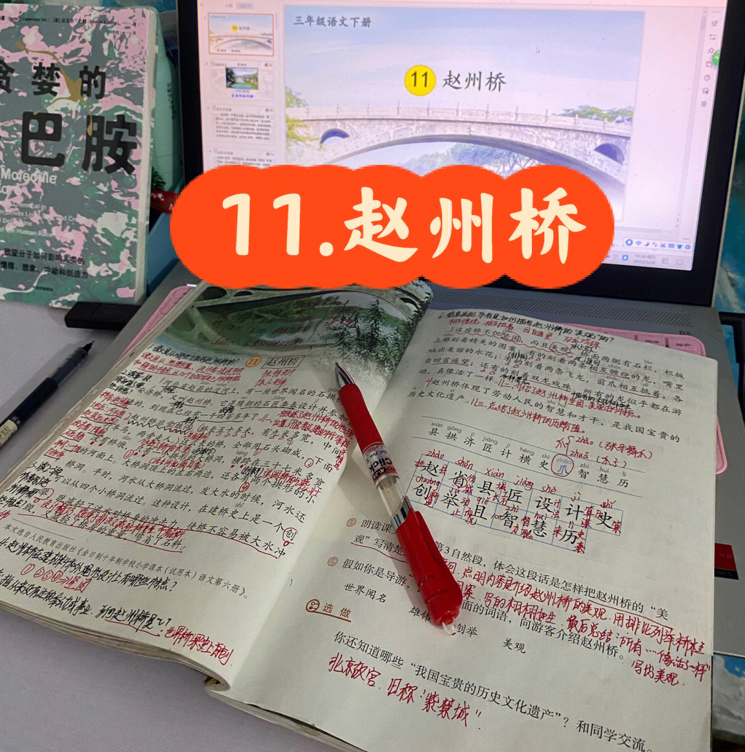 赵州桥备课分享#语文笔记#三年级语文#赵州桥#小学语文#教师