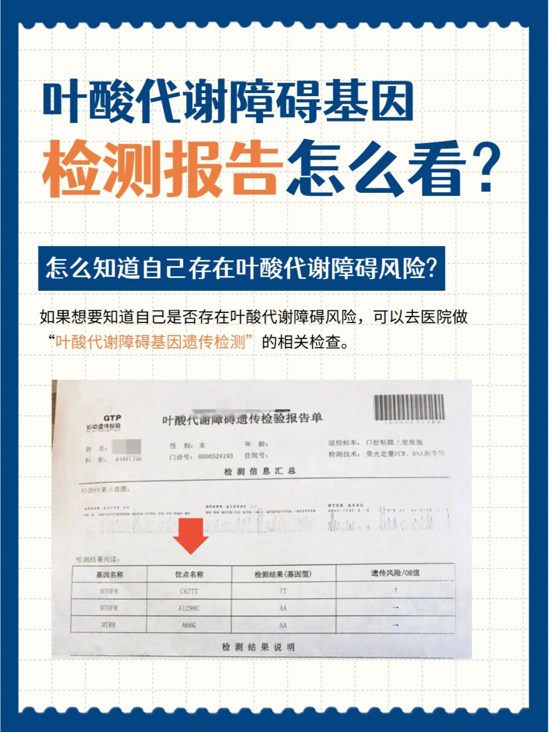 叶酸代谢基因检测报告图片