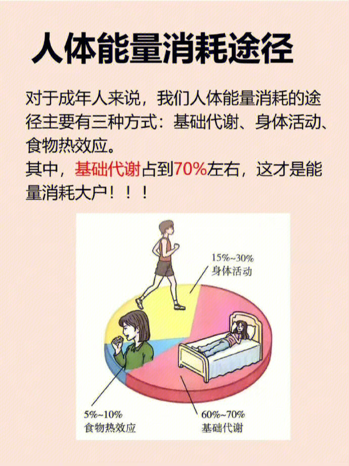 女生必看基础代谢慢的表现及提高方法