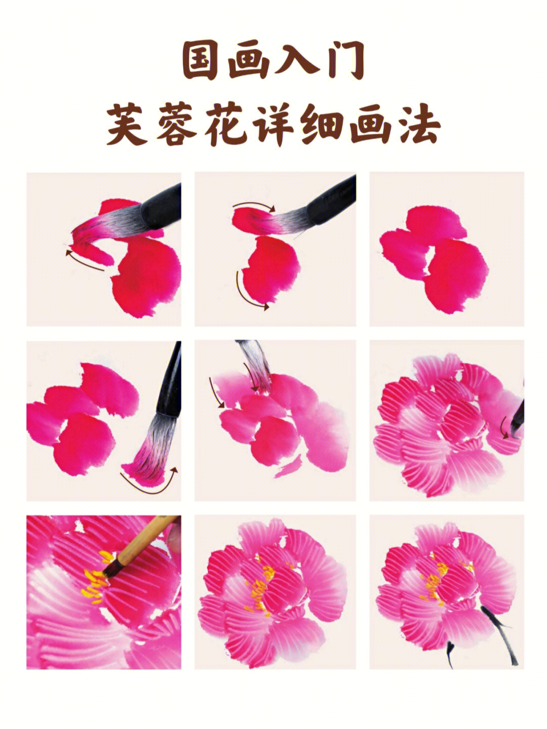 芙蓉花帽边的教程图片