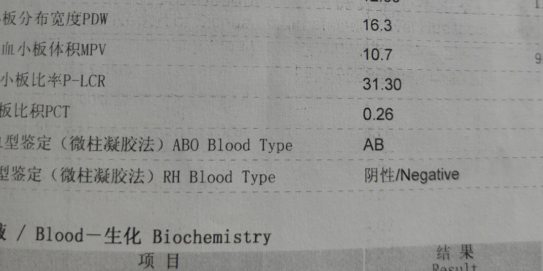 熊猫血阴性图片