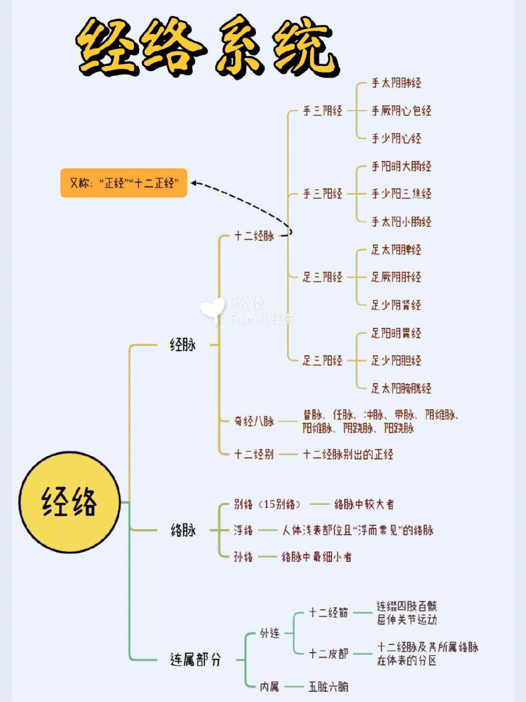 易筋经的经络运行图图片