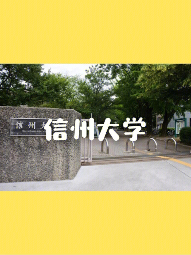 信洲大学图片