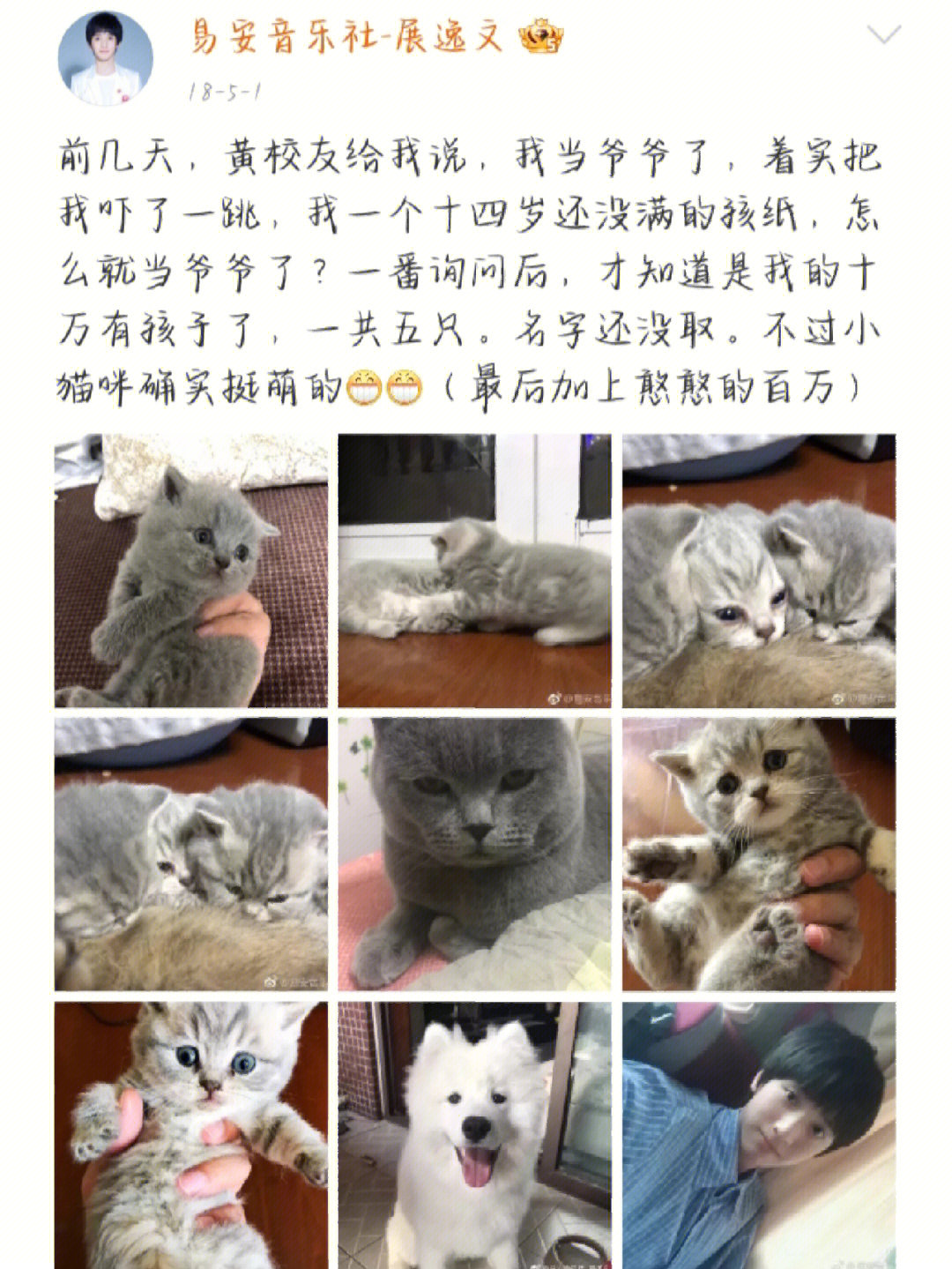 严浩翔的猫十万图片