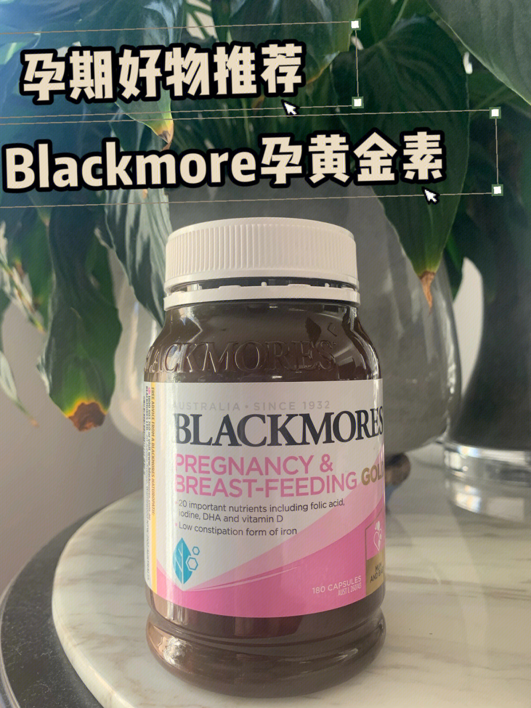 black mores黄金素图片