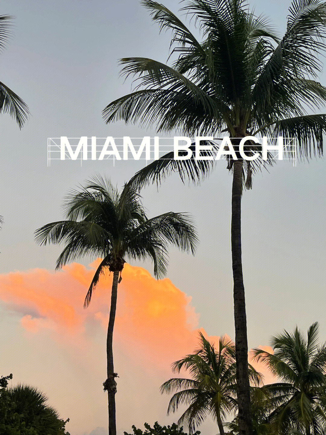 miami香槟图片