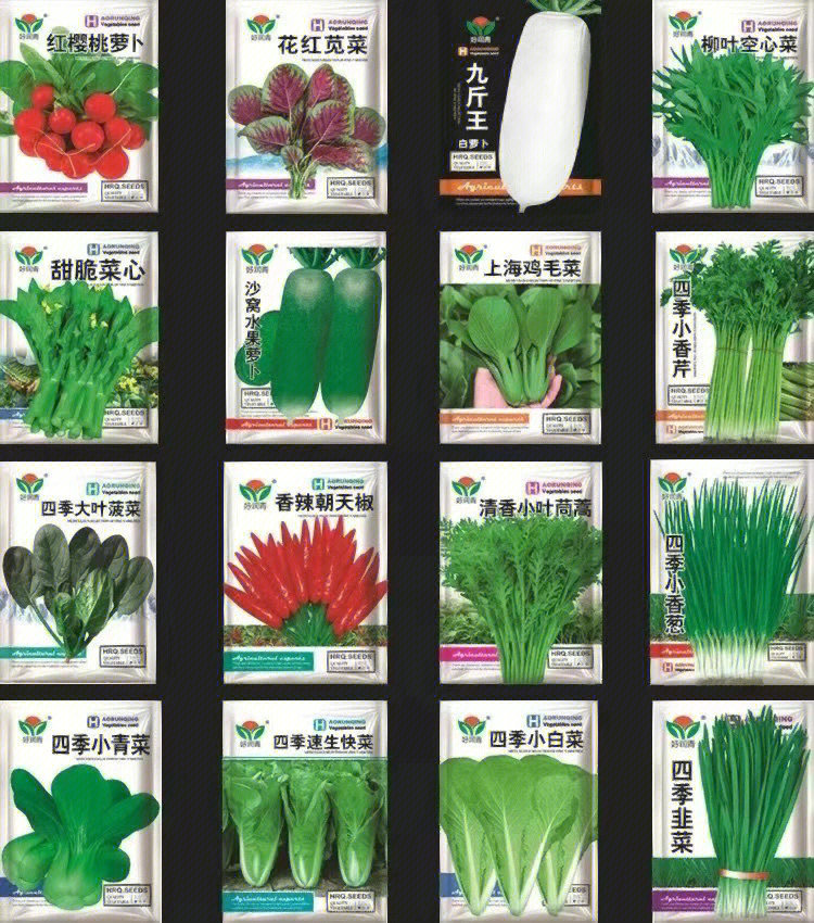24种迷你包装种子蔬菜种子组合 12种瓜果种子组合拥有菜的同时拥有