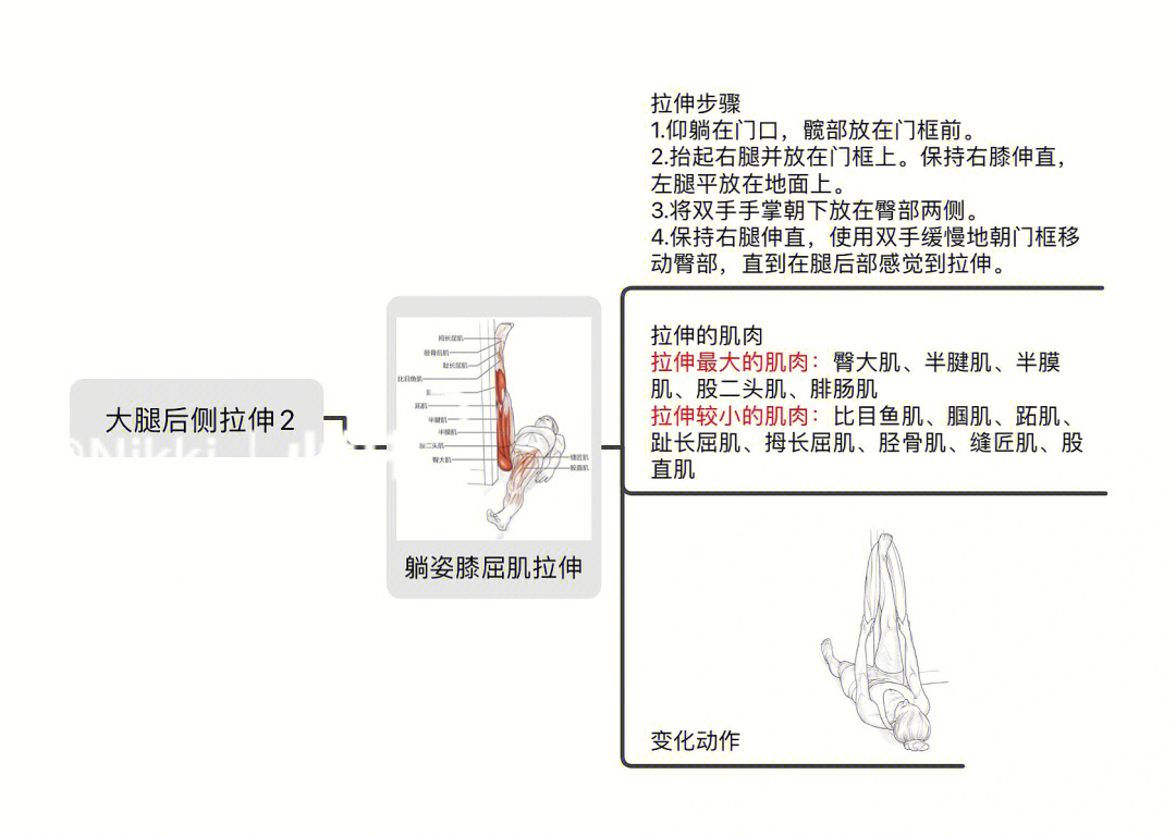 大腿后侧拉伸动作图解图片