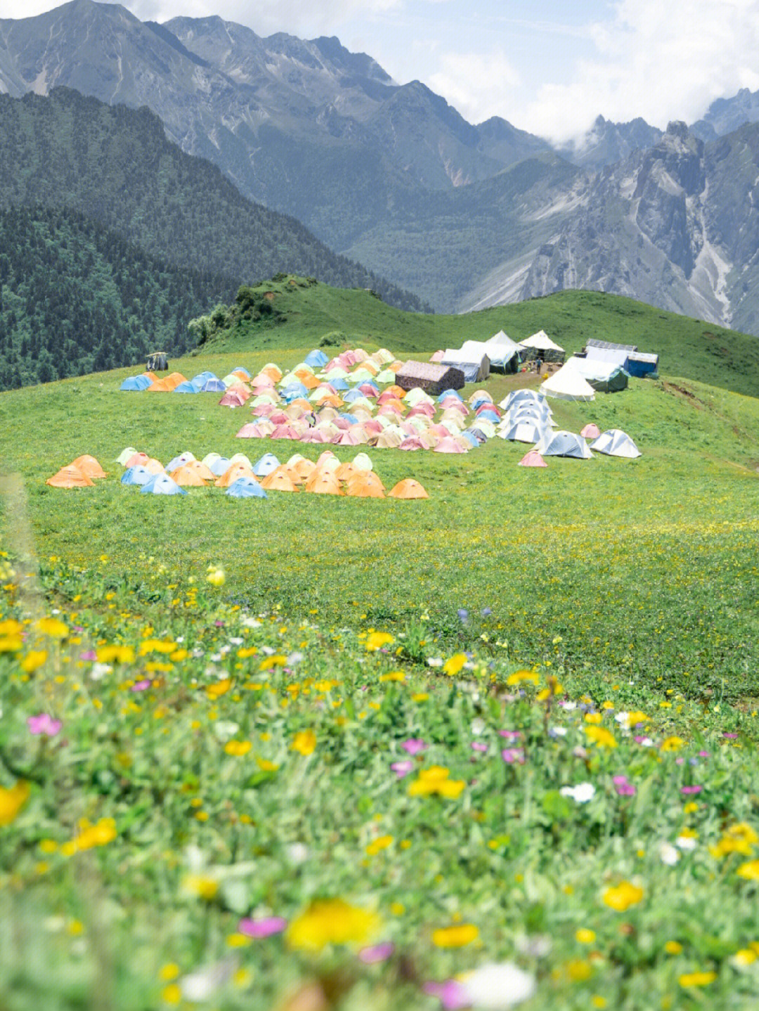 黄岛区九鼎山图片