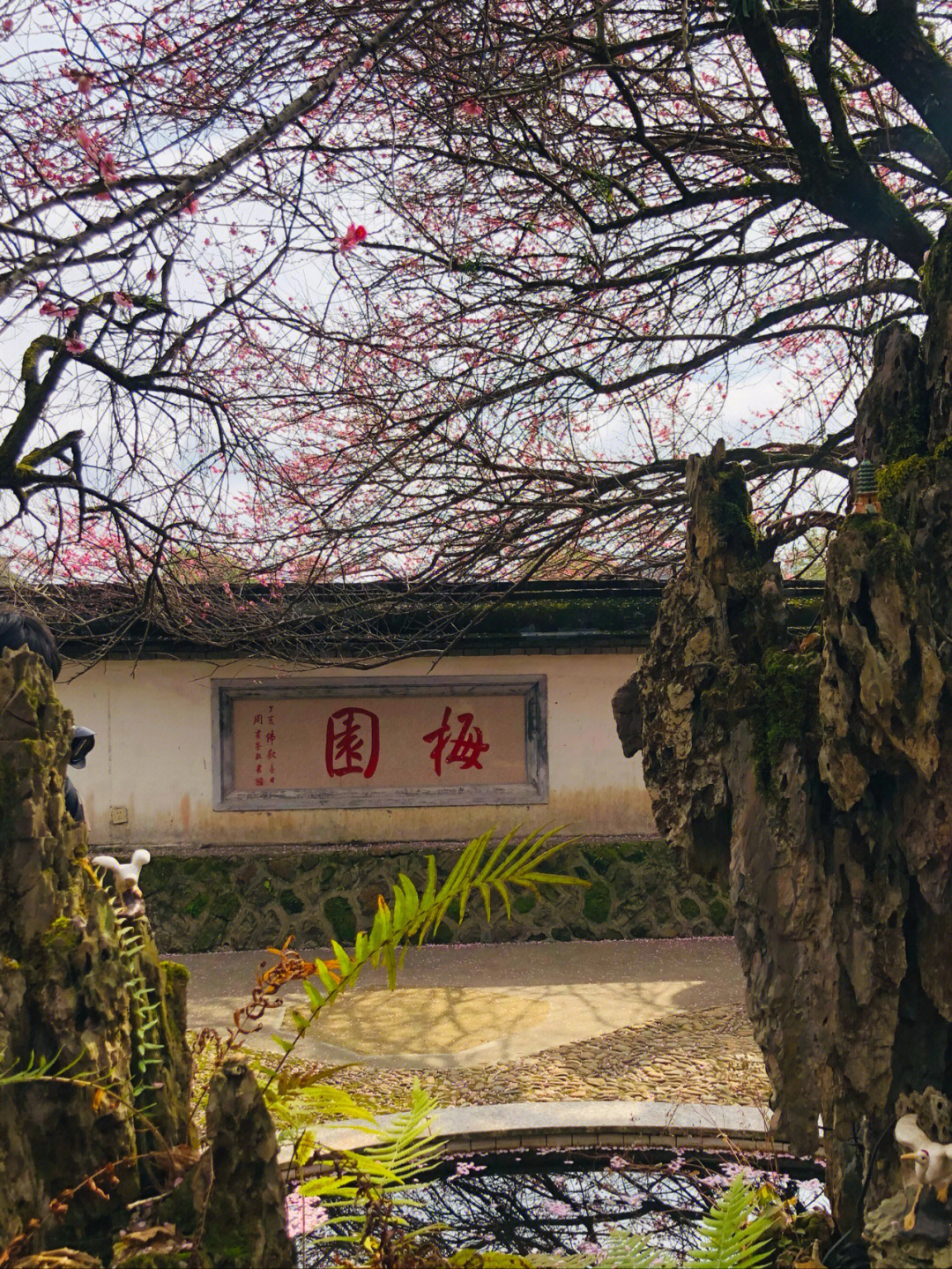 林阳寺方丈图片