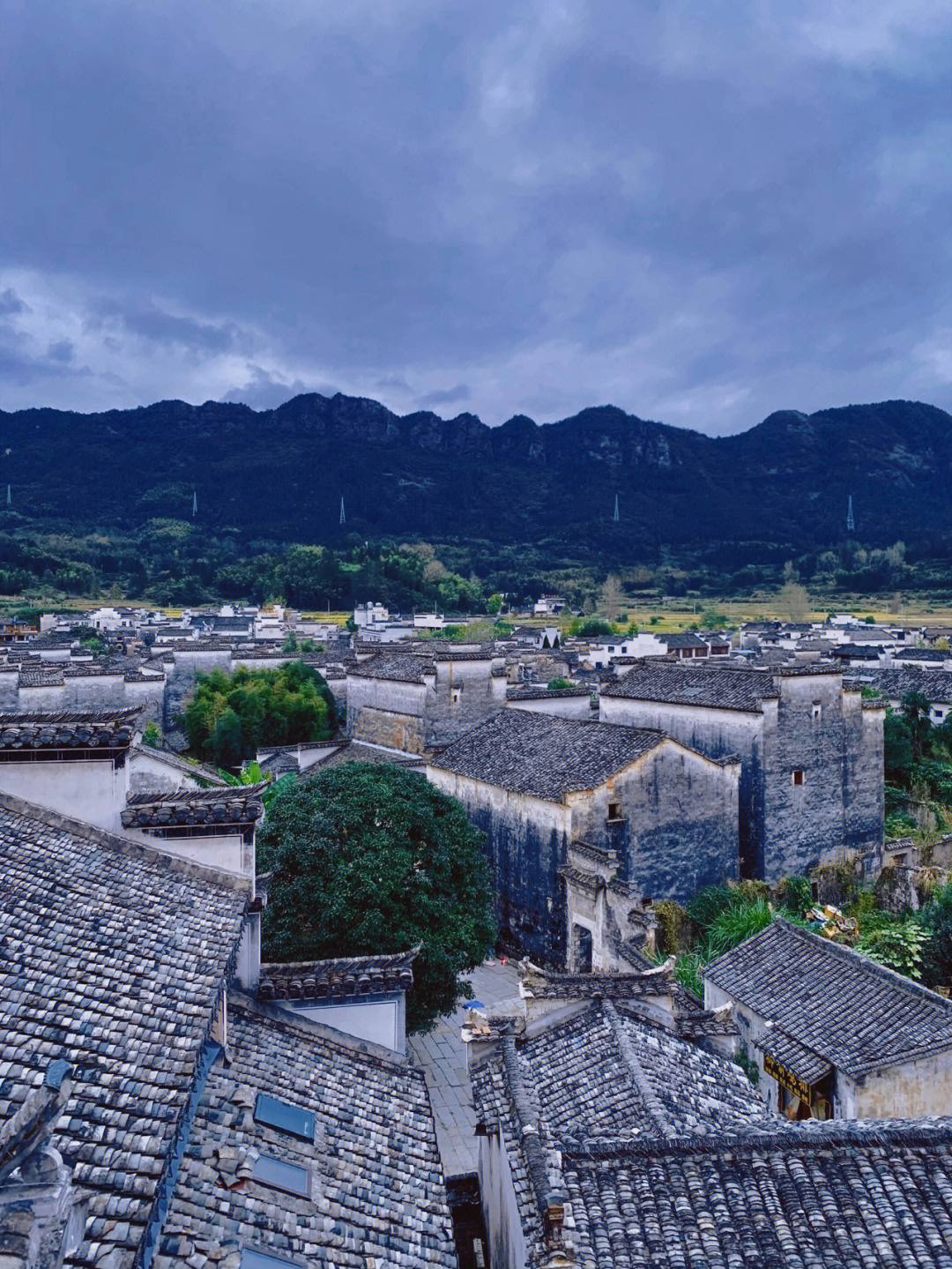 黄山屏山村在哪里图片