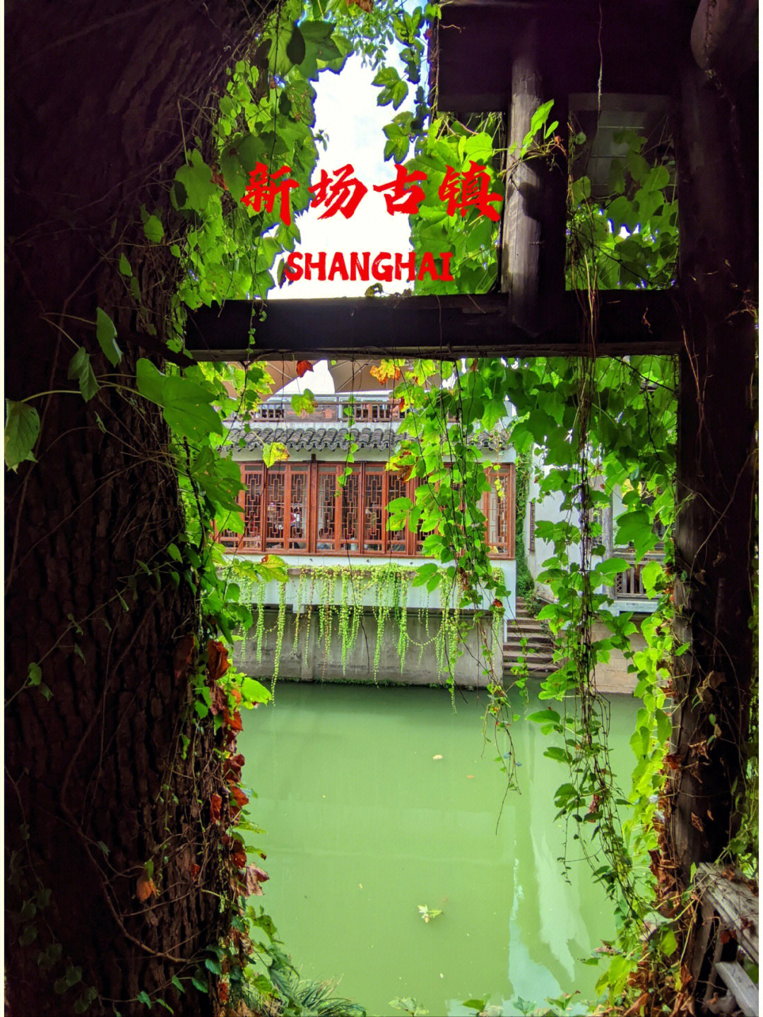 上海新场古镇景点介绍图片