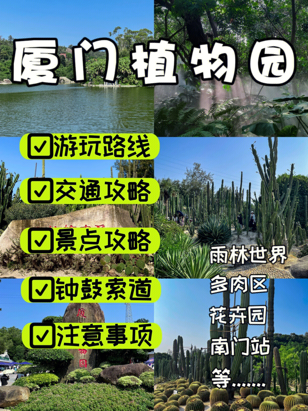 厦门园林植物园攻略图片