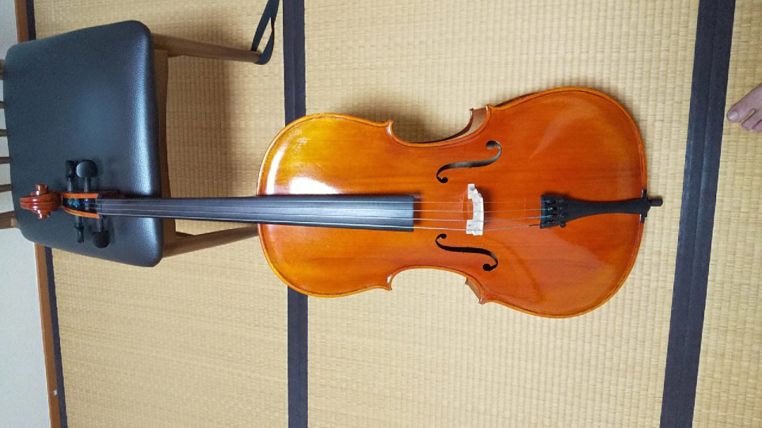 大提琴琴码摆放位置图片