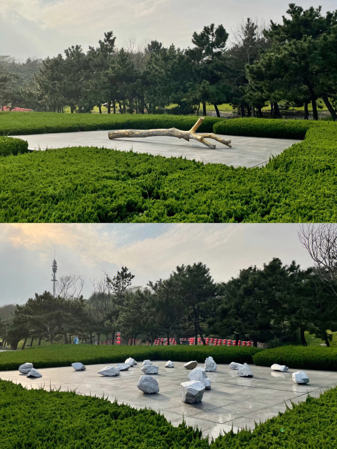 青岛雕塑园的观后感图片