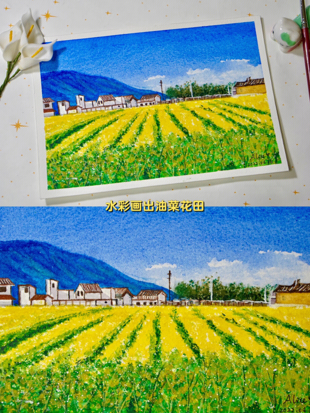 油菜花画 彩铅图片