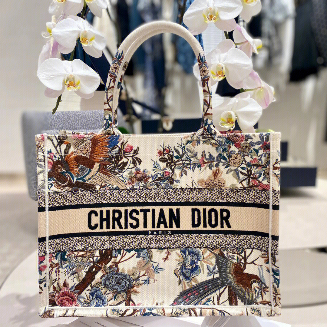 dior2022早春系列包包图片