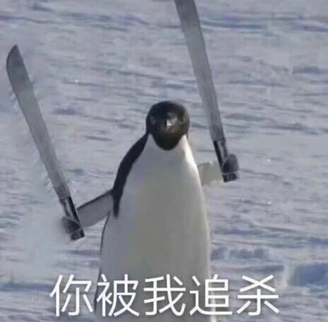 企鹅西内捅刀表情包图片