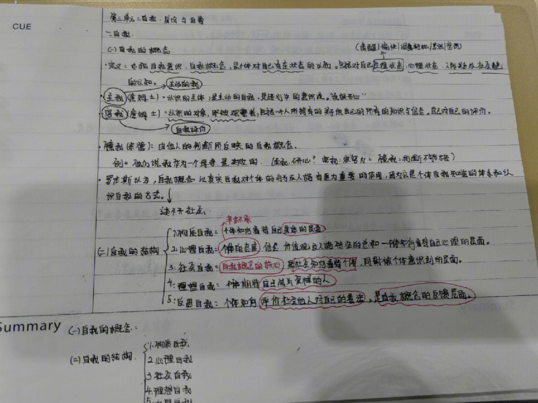 影响归因的因素)第十课:社会动机概述 主要的社会动机(亲和动机 成就