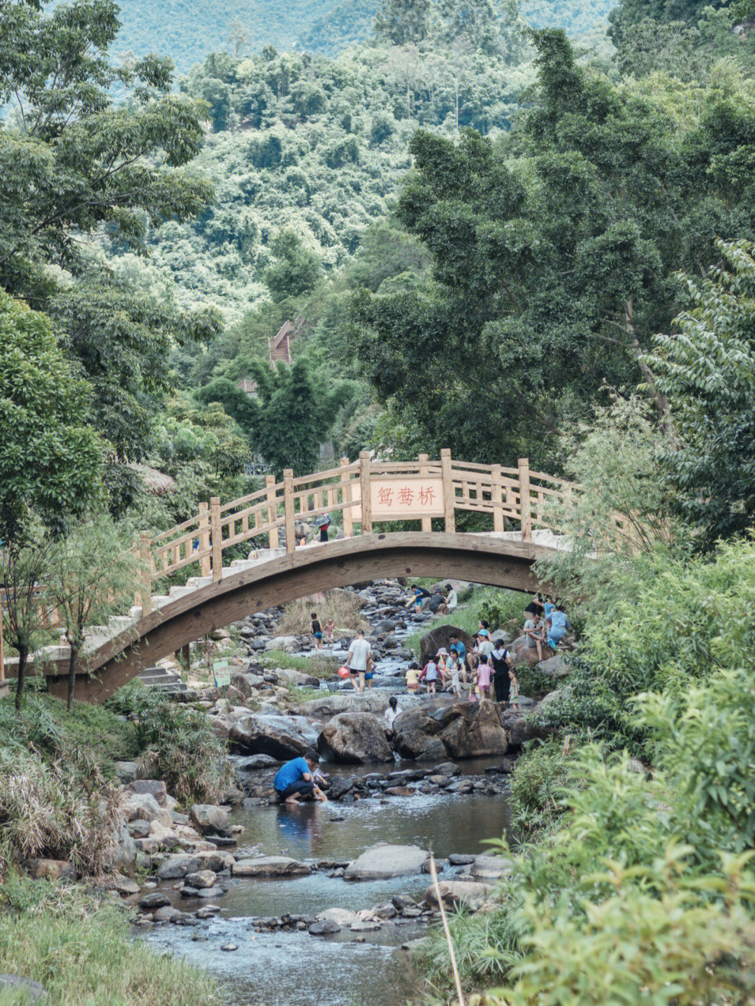 厦门景点 天竺山森林公园_厦门后花园