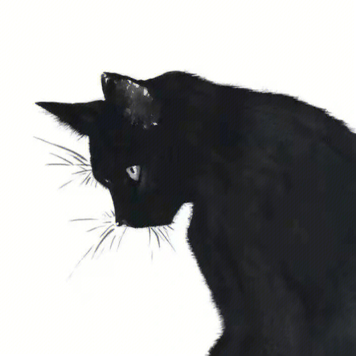 黑猫情侣头像一对图片