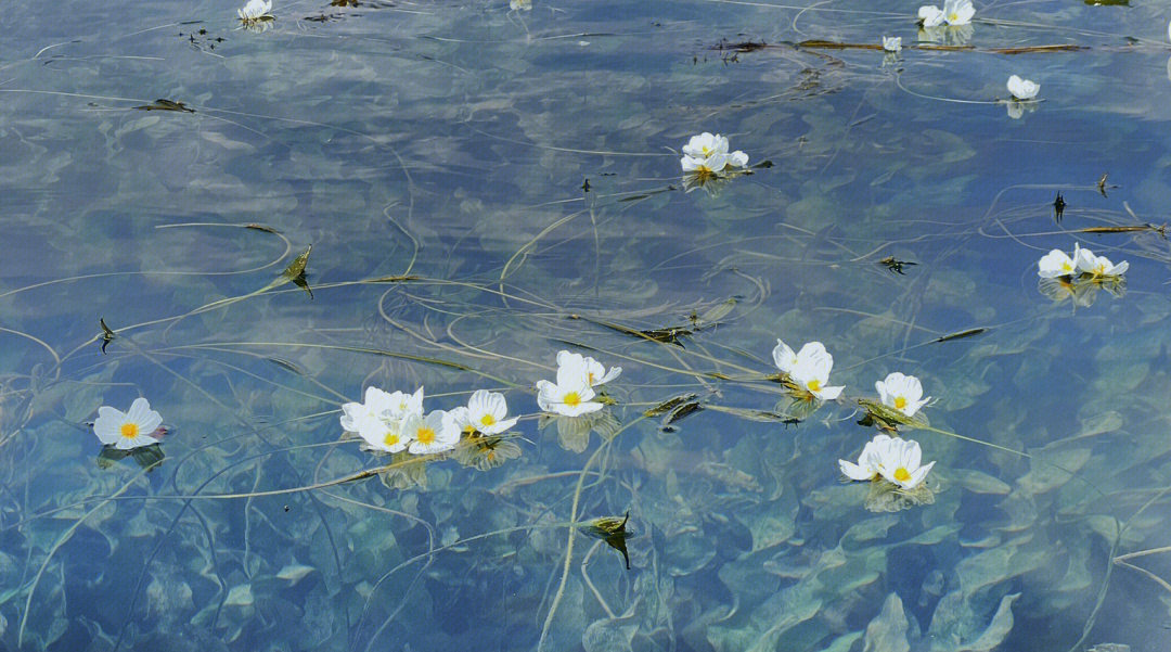 这就是水性杨花