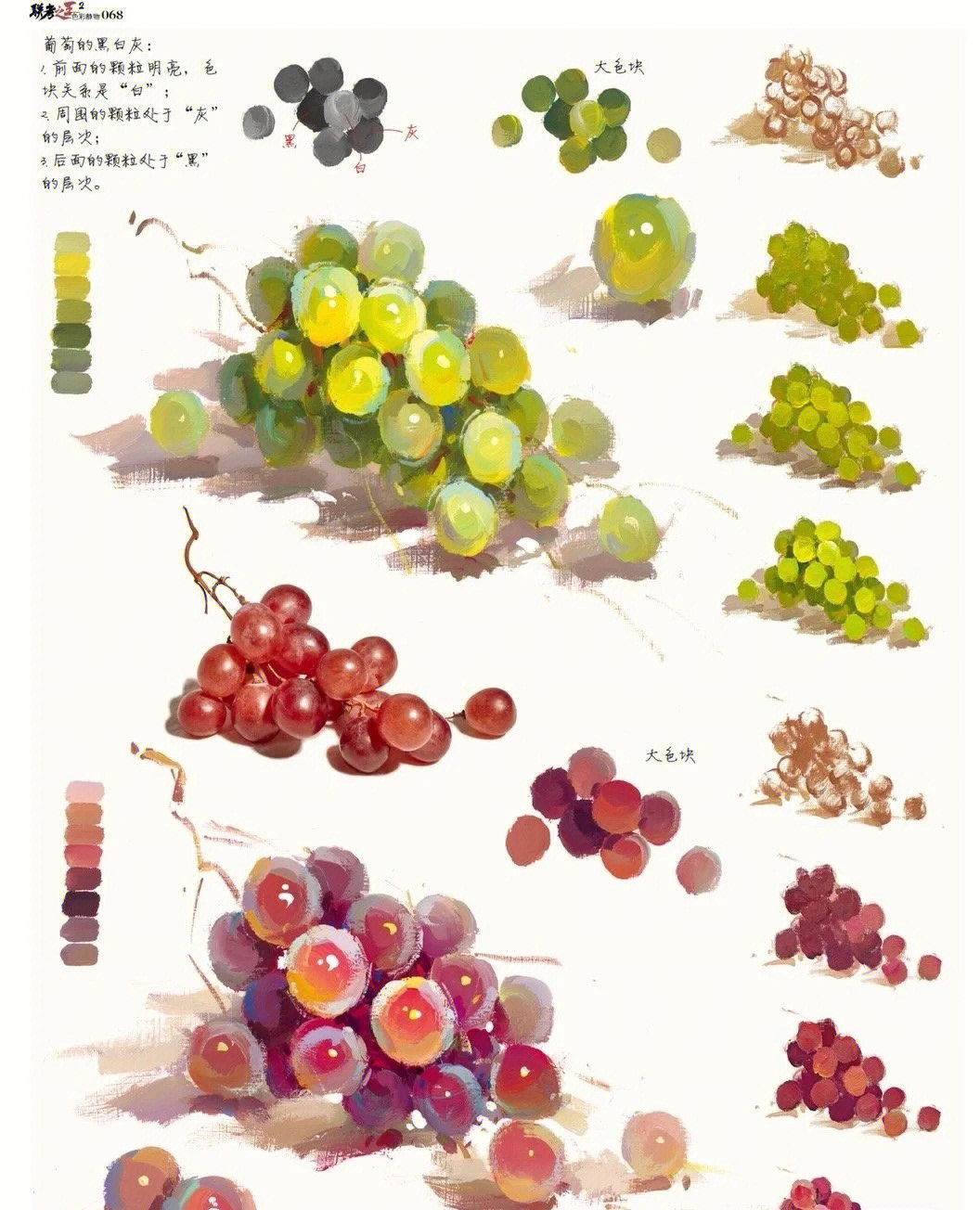 色彩静物单体葡萄含步骤图调色