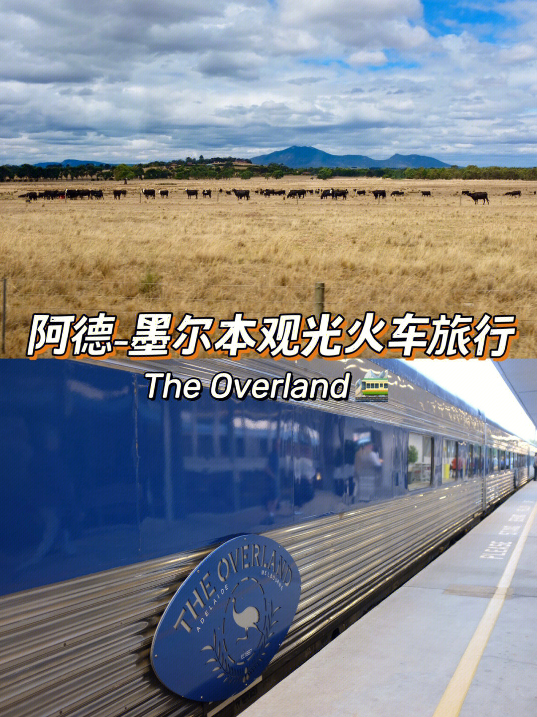 overland train图片