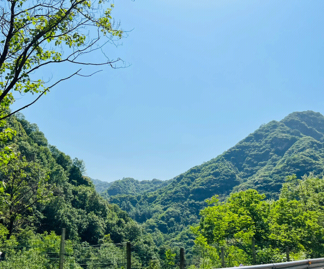 沣峪口大鼎图片图片