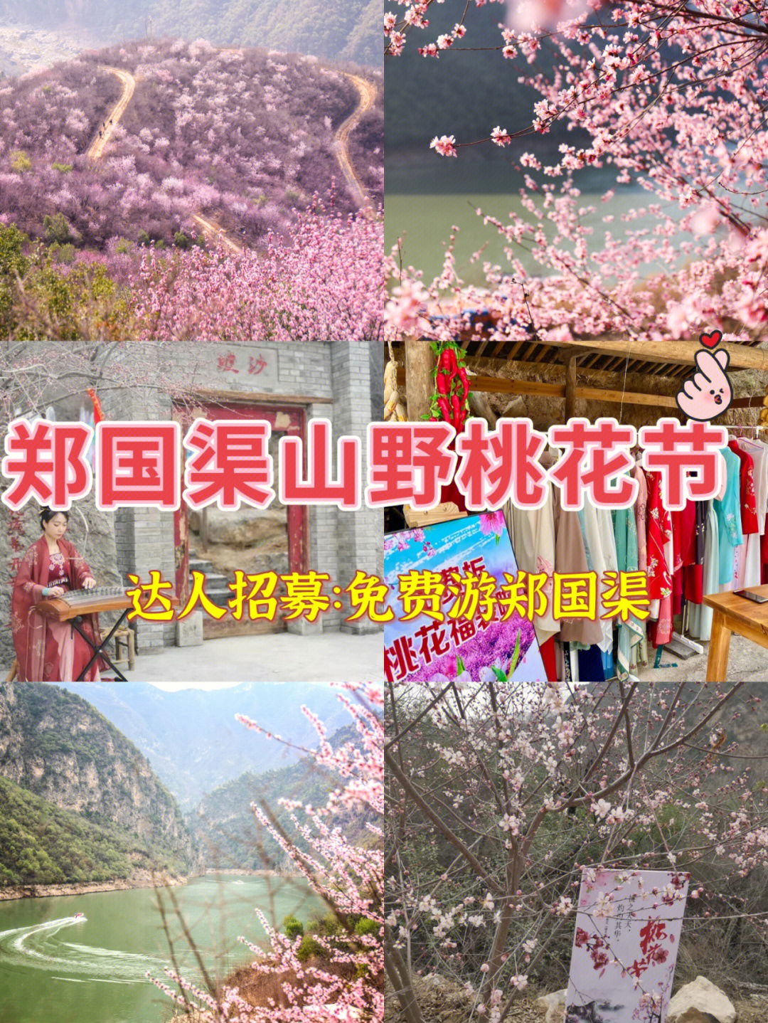 郑国渠第四届桃花节图片