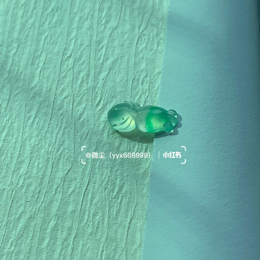 美鲷绿翡翠鱼图片
