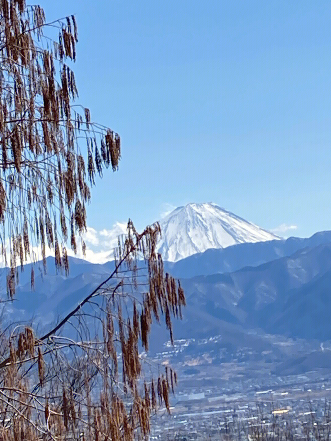 今天的富士山上覆雪了