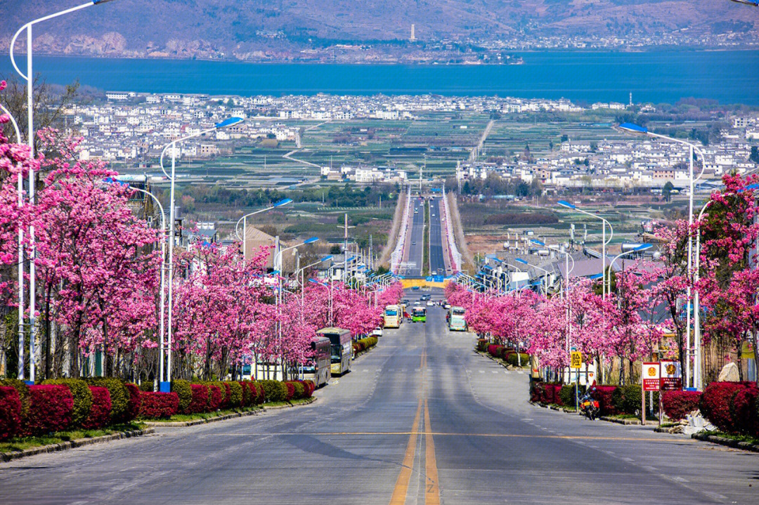 大理大学公路图片